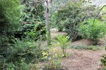 Images for Hermitage, Thatcham, Berkshire