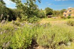 Images for Crookham Common, Thatcham, Berkshire