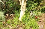 Images for Thatcham, Berkshire