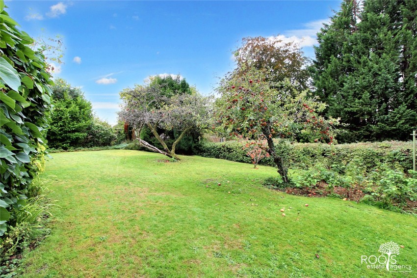 Images for Newbury, Berkshire